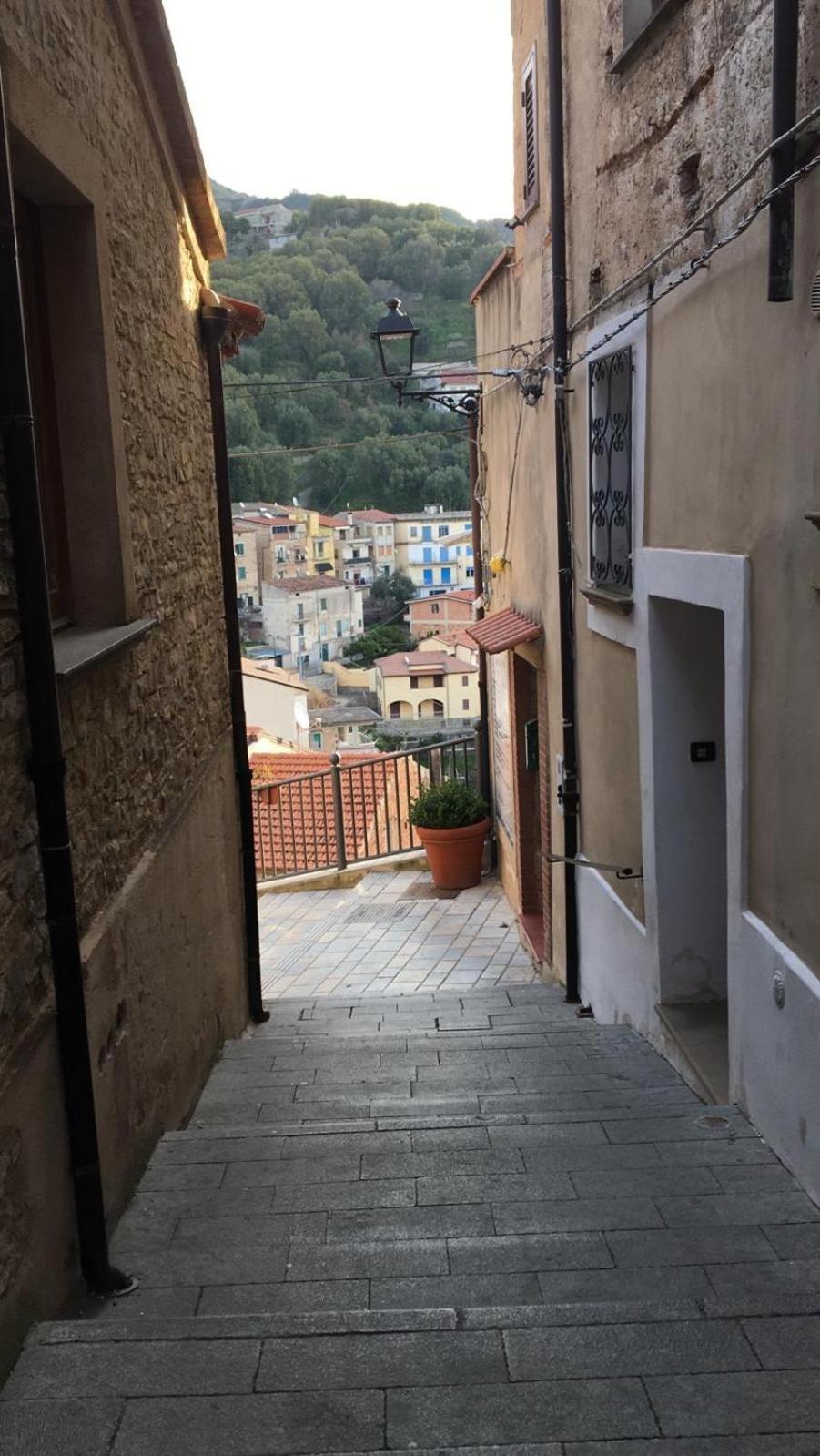 Appartement La Casa Del Maestro Attico à Pisciotta Extérieur photo