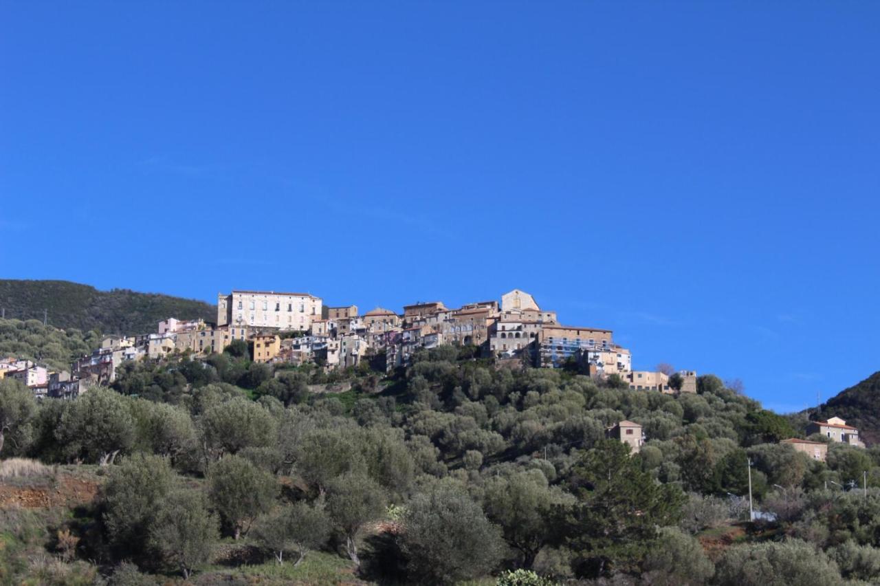Appartement La Casa Del Maestro Attico à Pisciotta Extérieur photo