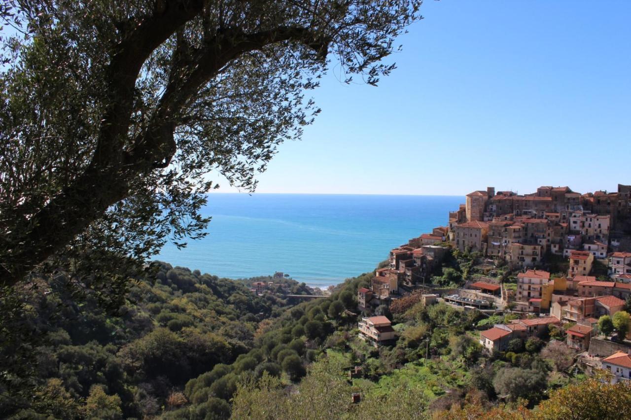 Appartement La Casa Del Maestro Attico à Pisciotta Extérieur photo